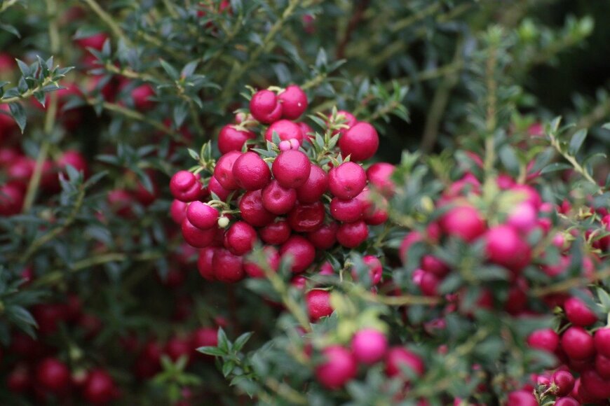 jojoo64/istockphoto.com