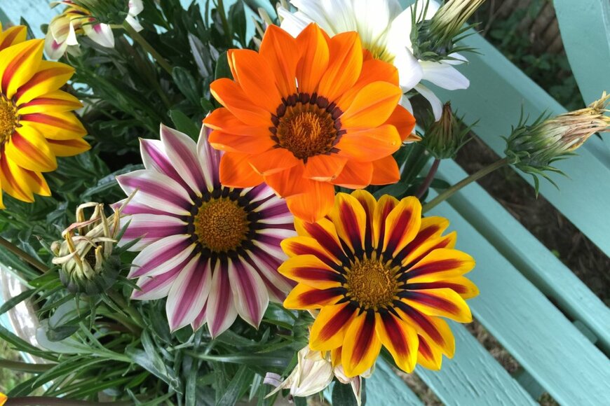 KanphotoSS/shutterstock.com