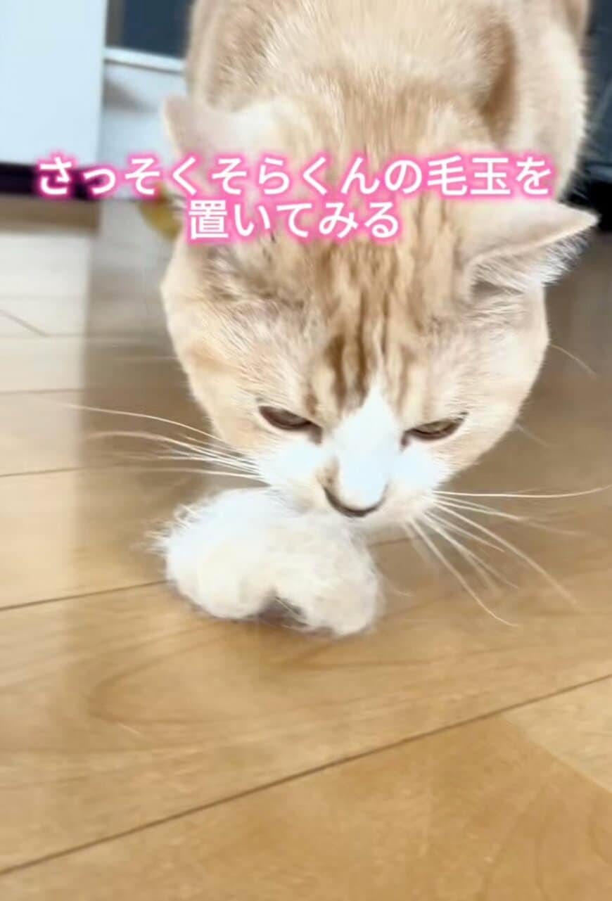 出所：@sorakai0905