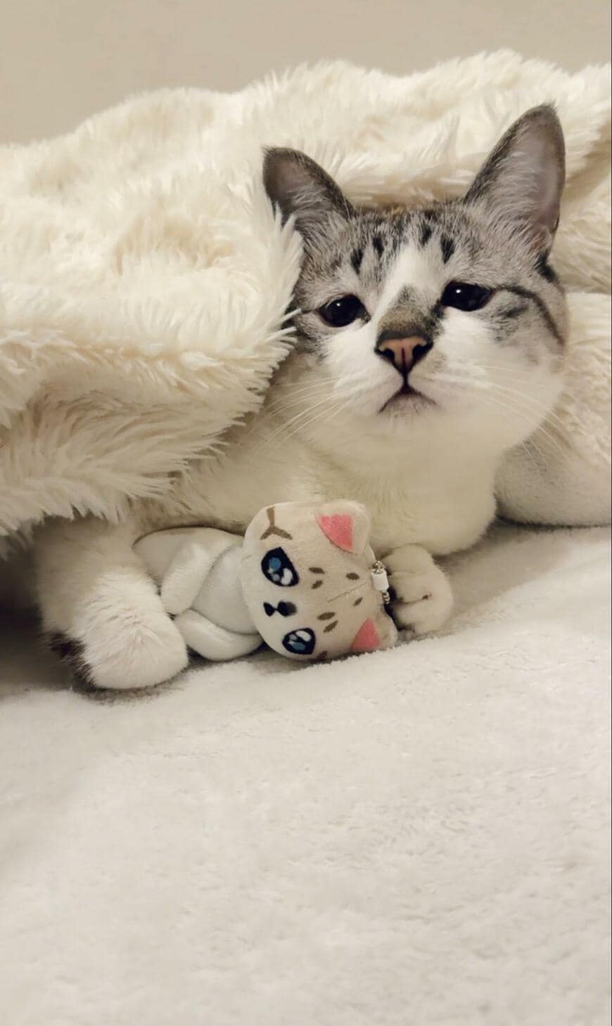 出所：@piennekomint