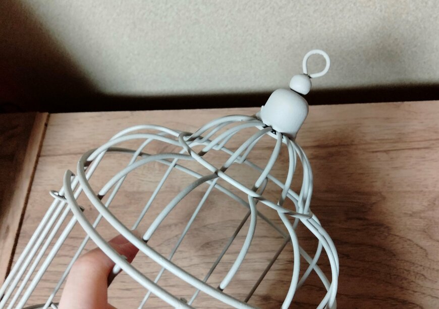 筆者撮影（ダイソー、アイアンインテリア（ケージ、直径13.5cm×19cm））