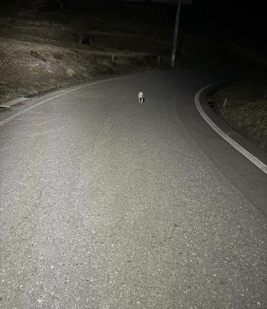 出所：@Arakisengyo_yu