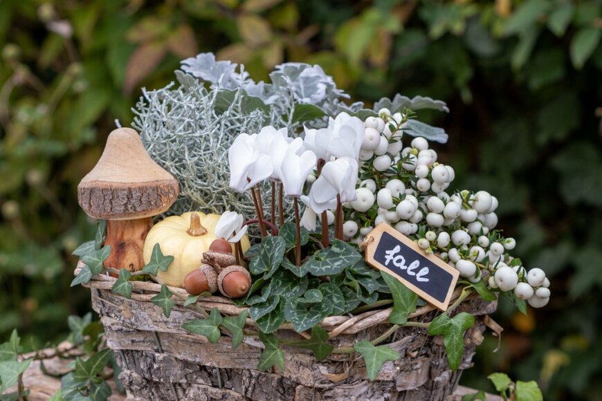 Natalia Greeske/shutterstock.com