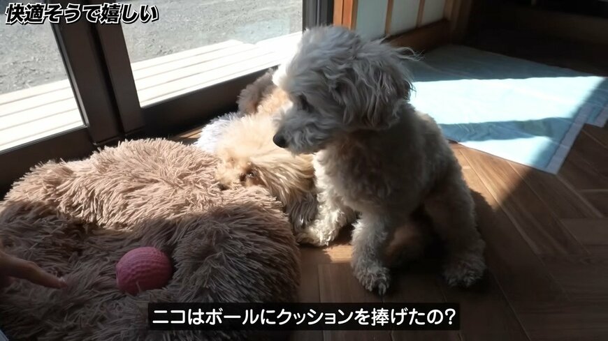 出所：@saitoufufu