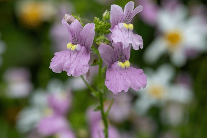 Tom Meaker/istockphoto.com