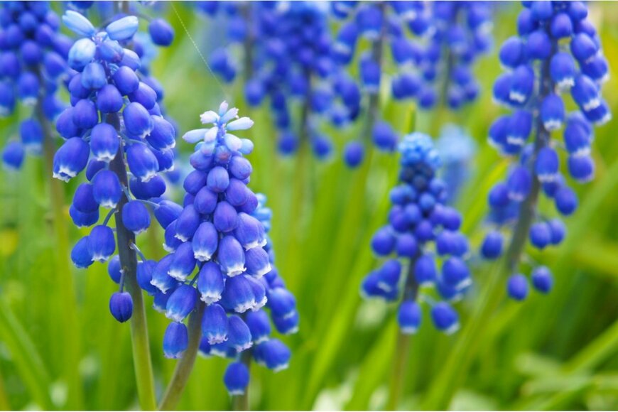 mizy/shutterstock.com