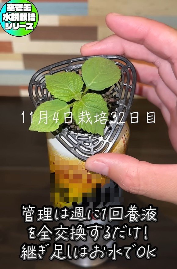 出所：@mikanbo-ya1987