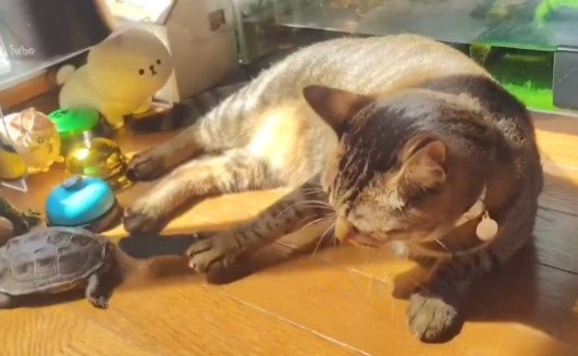 出所：@Mh0MLiErcV8E97C