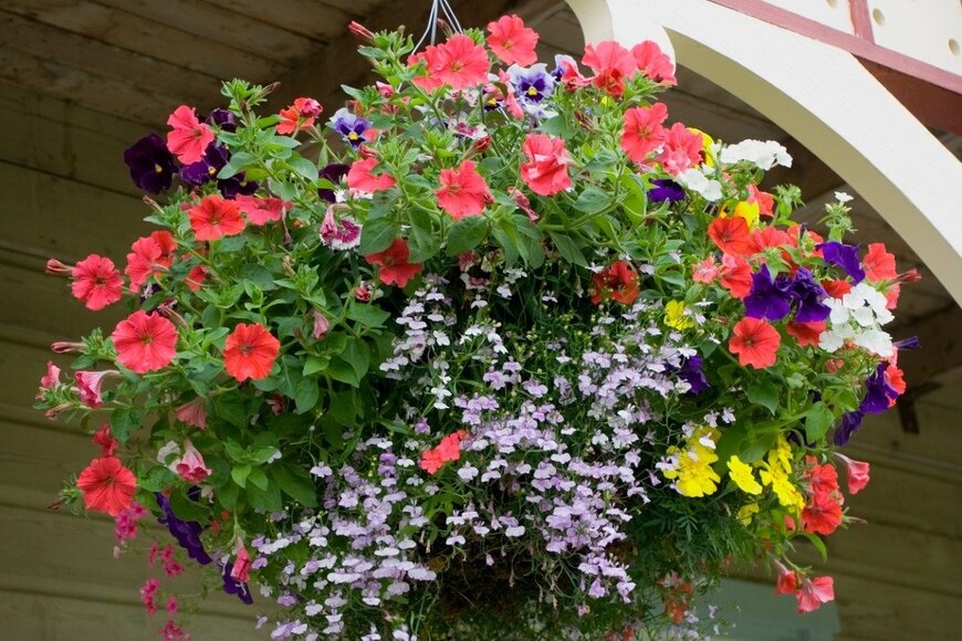 lilly3/istockphoto.com