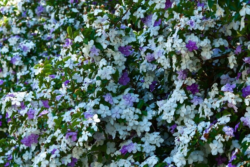 Billy_Fam/istockphoto.com