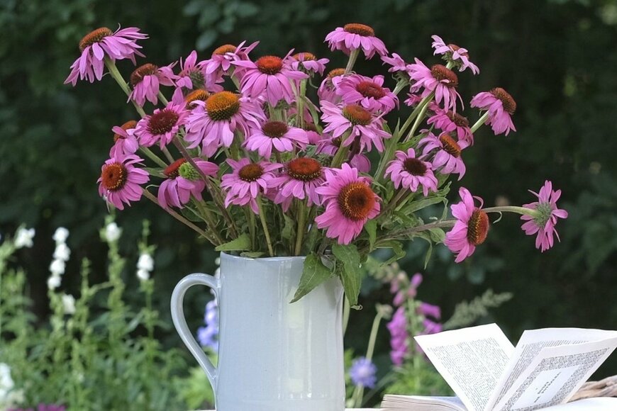 Val-Leo/shutterstock.com