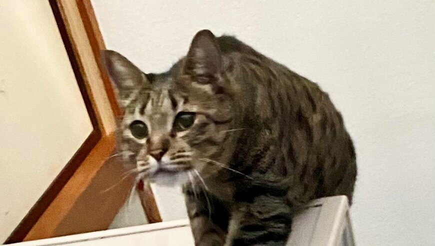 出所：@luna7taka9