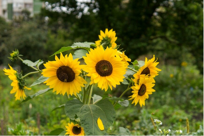 Volodymyr Shtun/istockphoto.com