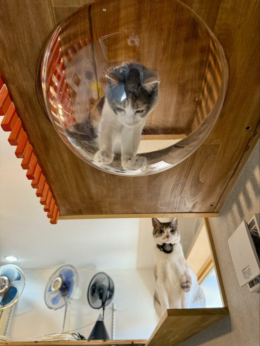 出所：@omochi_nam01