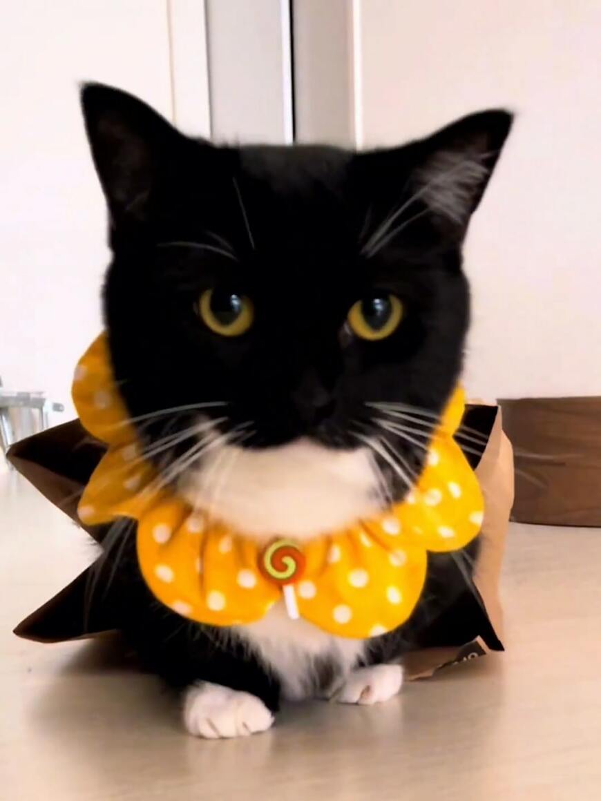 出所：@unicouniuni3