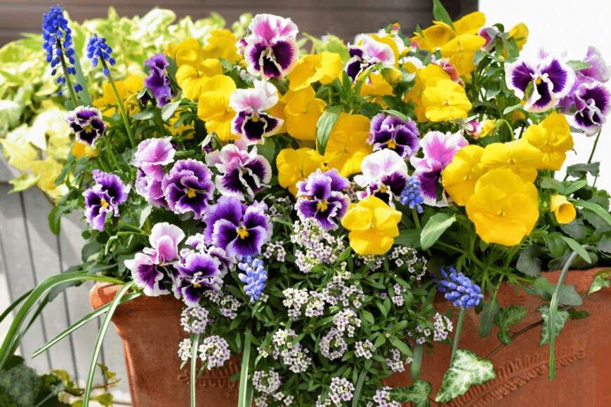 syan/istockphoto.com