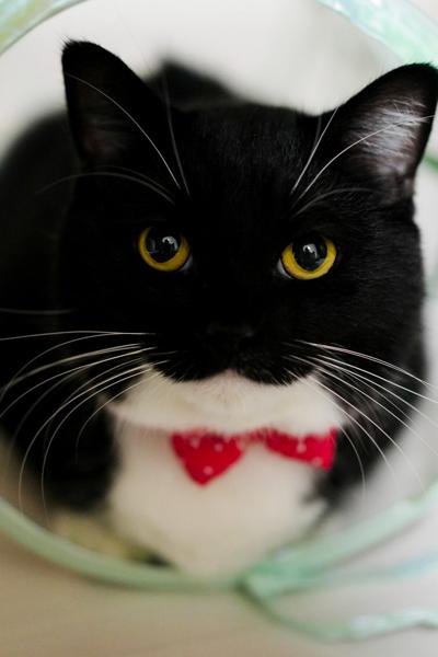 出所：@unicouniuni3