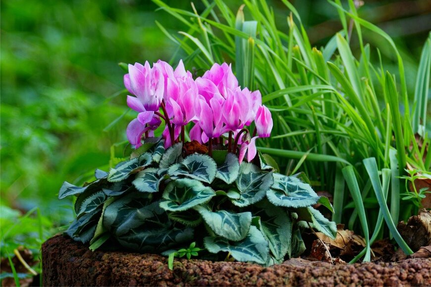 Stanislavs Vasilkovs/istockphoto.com