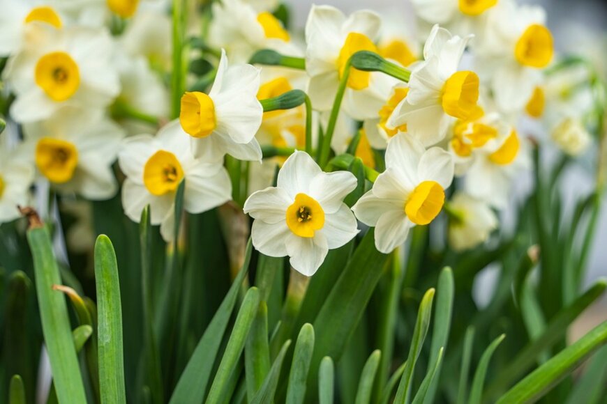 asharkyu/shutterstock.com