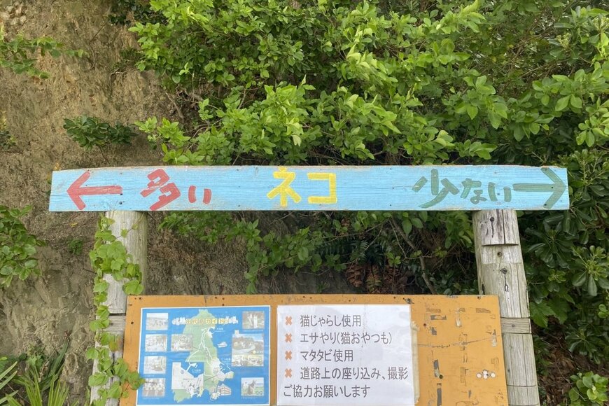 「猫島」と呼ばれる宮城県の田代島　猫好きなら「左一択」な看板が発見される
