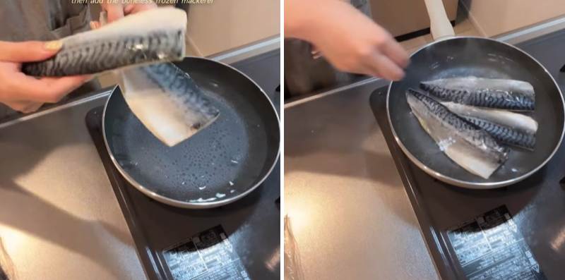 投稿の画像