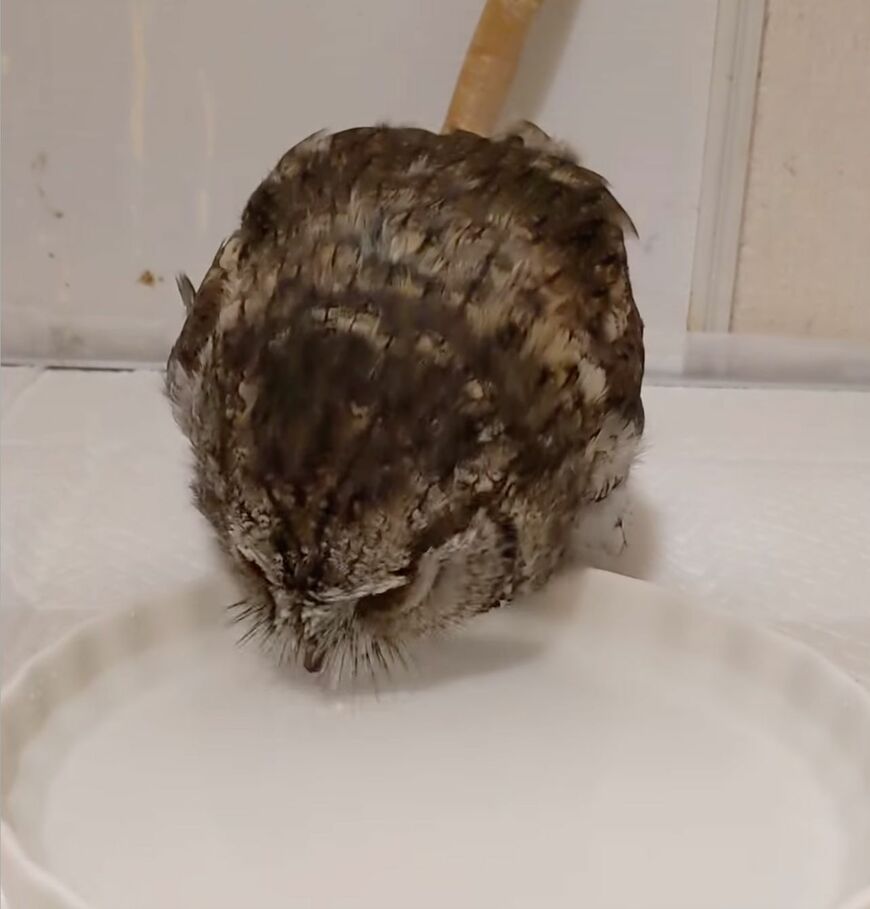 投稿動画のワンシーン