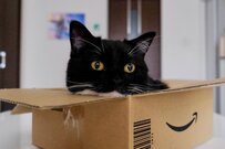 箱の中で【液体化】する猫ちゃんが可愛すぎると話題に「見てるだけで癒される」