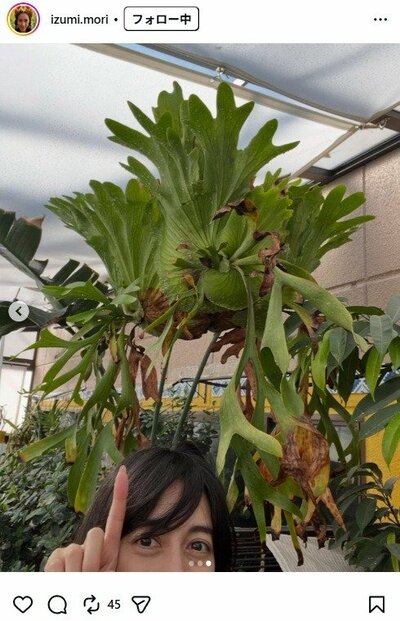 森泉のInstagram投稿