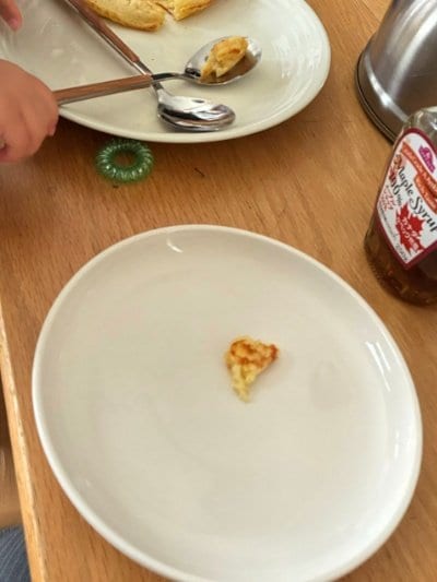 投稿の画像