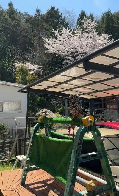 投稿動画のワンシーン