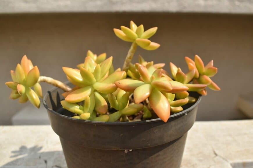 Snapshots Profile/istockphoto.com