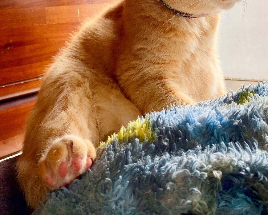 出所：@luna7taka9