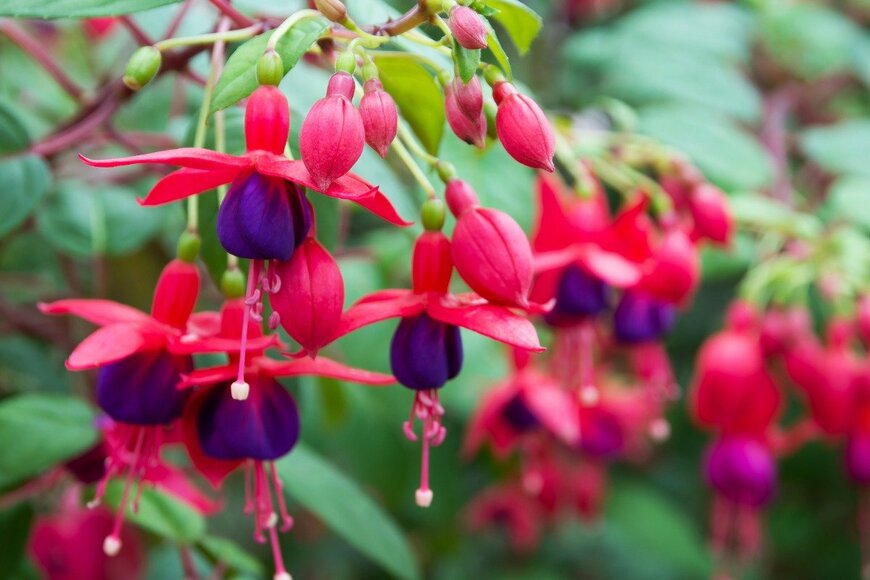 phanasitti/istockphoto.com