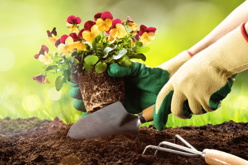 RomoloTavani/istockphoto.com