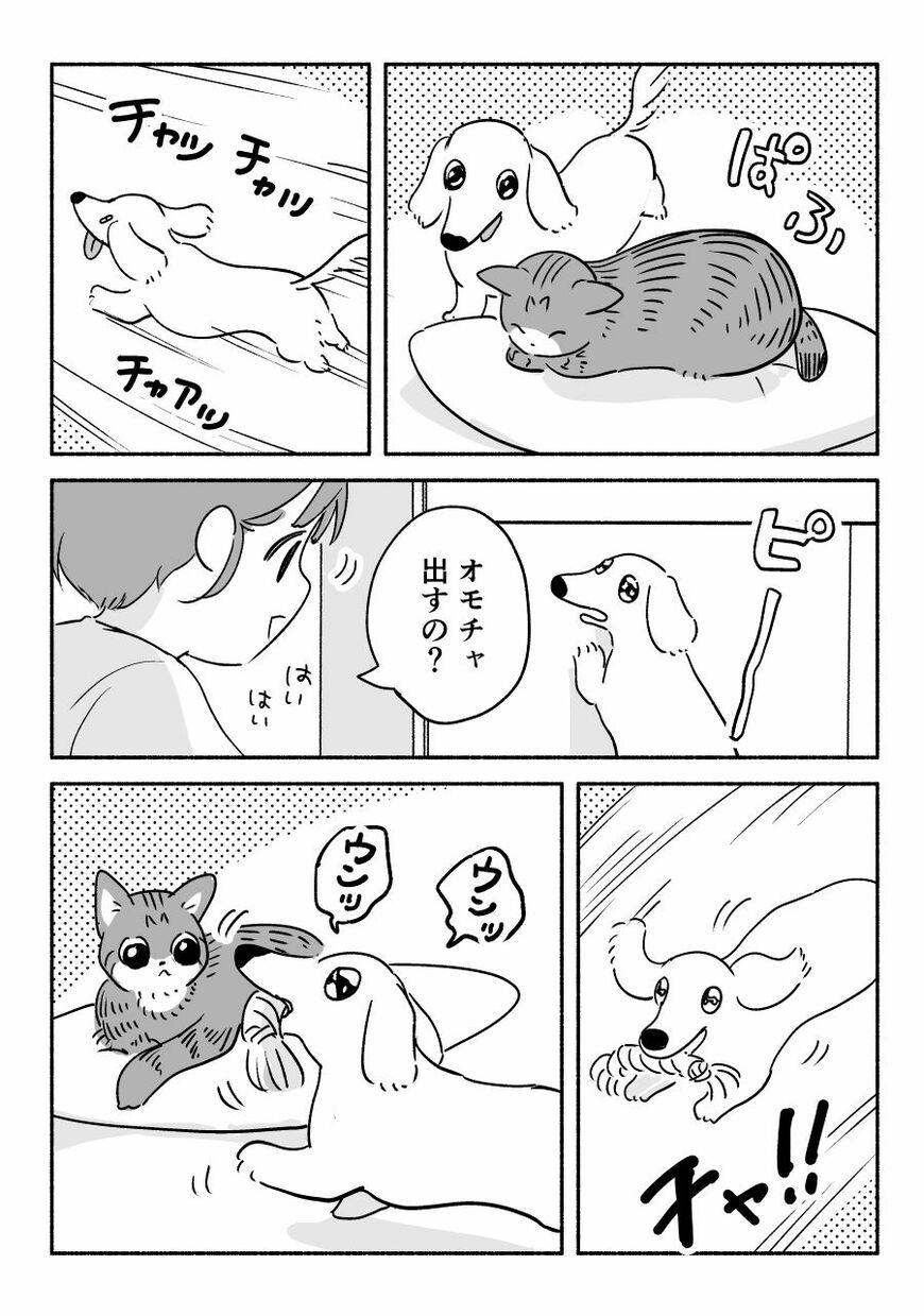 出所：@inunonekochan