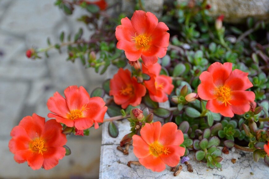 Jana Milin/istockphoto.com