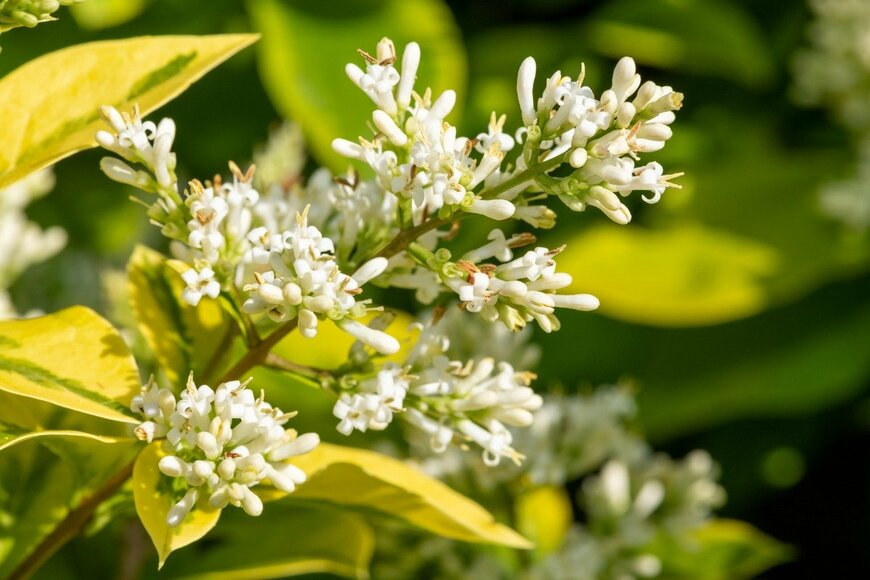 Tom Meaker/istockphoto.com