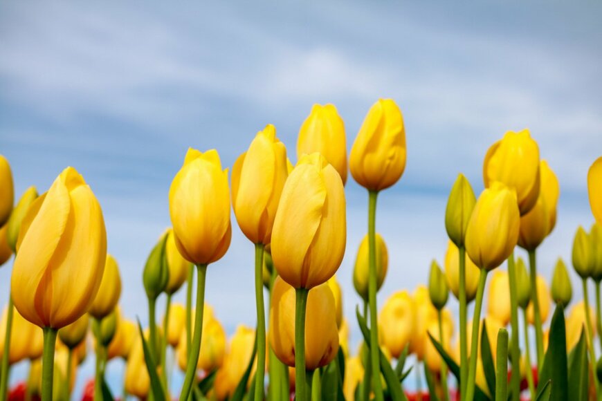 Landon Quebedeaux/shutterstock.com