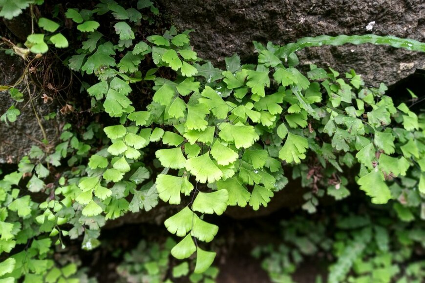 abumuawiyaheri/shutterstock.com