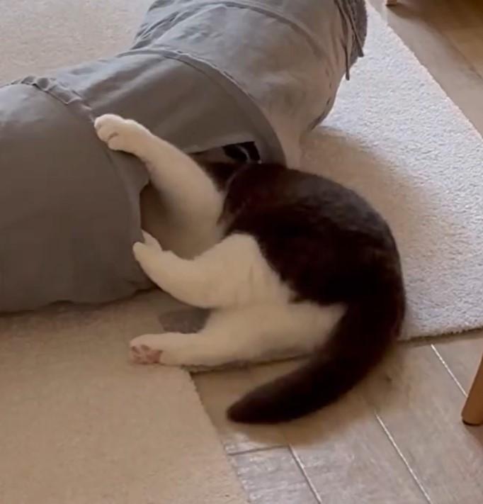 出所：@omochiomoching