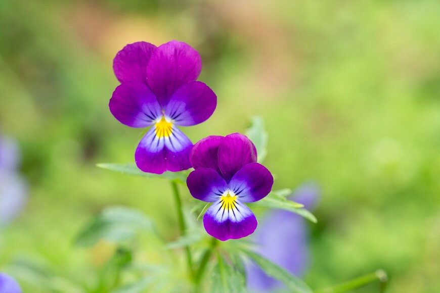 Marina Kositsyna/istockphoto.com