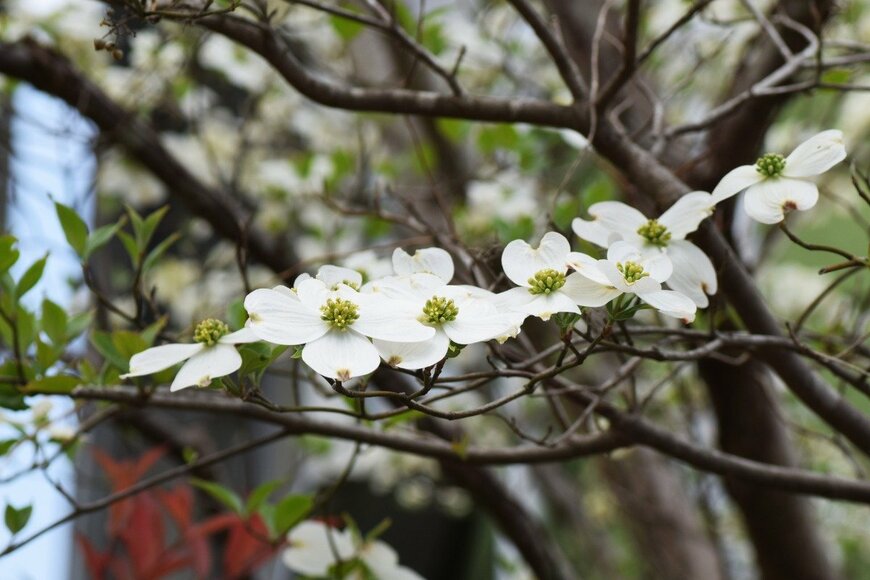 undefined undefined/istockphoto.com