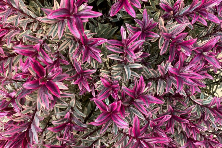 Joe Kuis/shutterstock.com