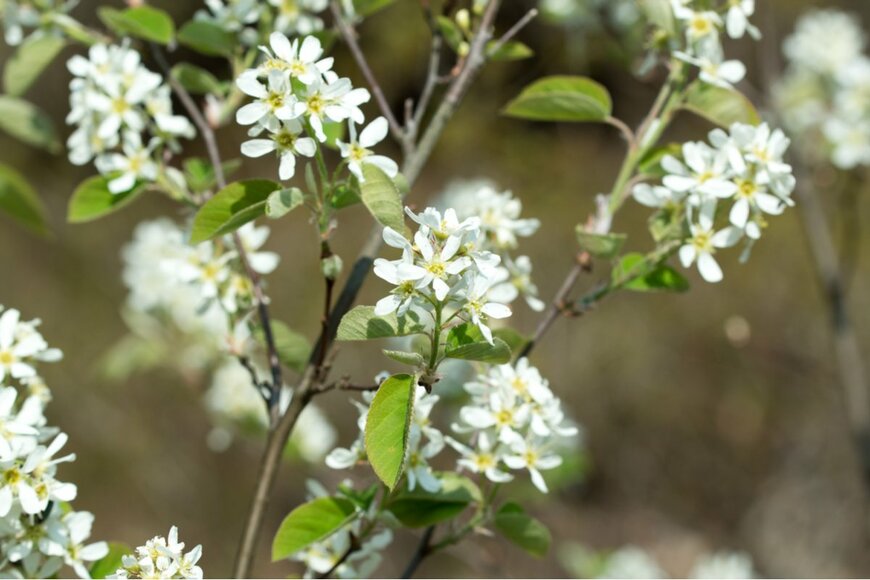 aga7ta/shutterstock.com