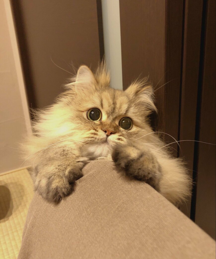 出所：@UphQepCv8J