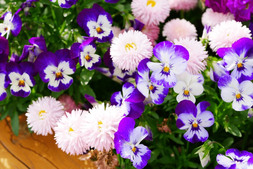 croquette/shutterstock.com