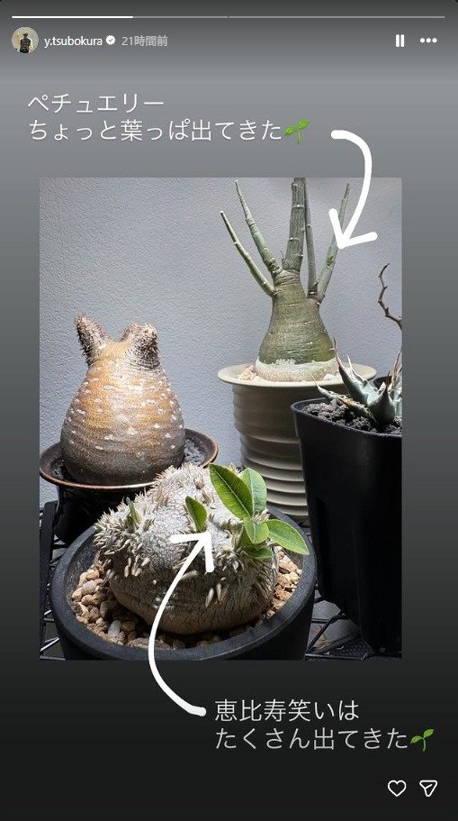 出所：坪倉由幸のInstagram （＠y.tsubokura）参照日：2026年2月16日