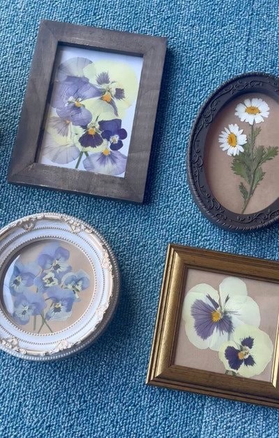 出所：@yuri_kurashilog