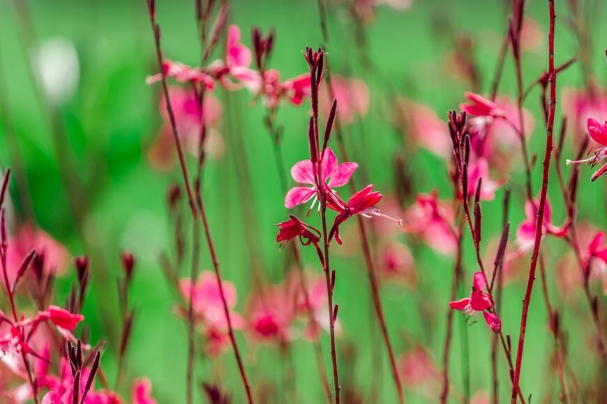 Nazanin Esfandyarpour/istockphoto.com
