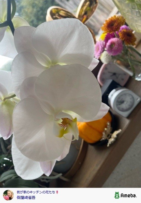 出所：假屋崎省吾の公式ブログ　参照日：2026年3月17日